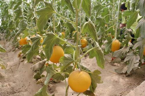 吃瓜炸裂,揭秘娱乐圈幕后真相