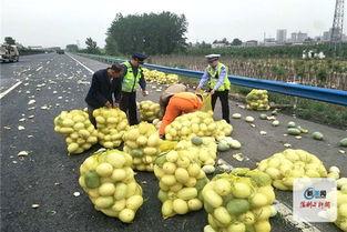 51朝阳吃瓜群众 网红大可乐,网红大可乐的崛起与影响力