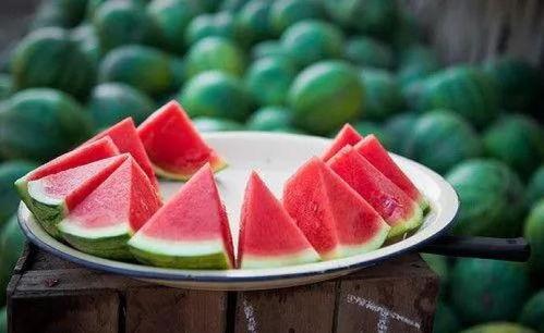 51朝阳吃瓜群众 网红大可乐,网红大可乐的崛起与影响力