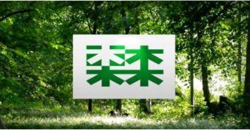 木林森在线观看,穿越时光的森林奇遇记